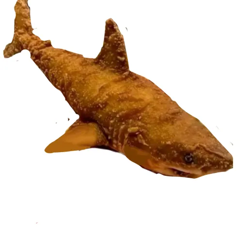 creator Fried shark's avatar