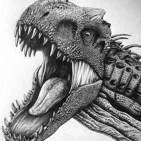 creator indoraptor 🤭's avatar