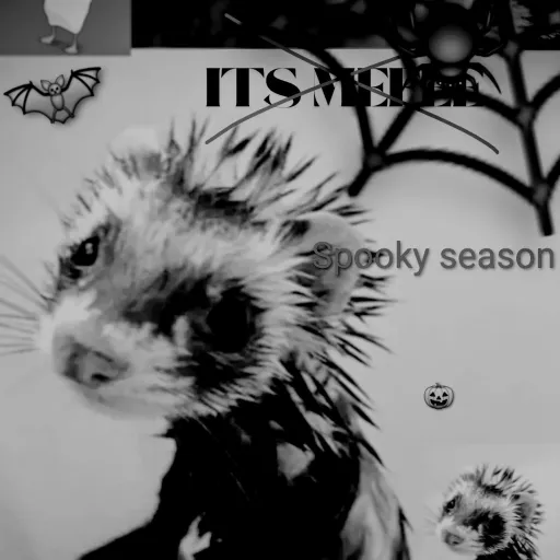 creator \~☆Mr Ferret☆~/'s avatar