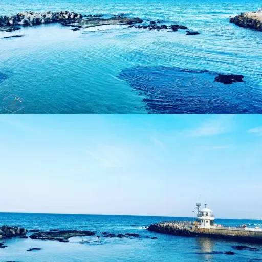 creator ARMY 정국 사랑해's avatar