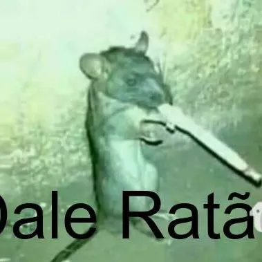 creator RATÃO DO PIX's avatar