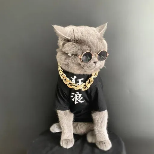 creator Taulant Abazaj yt$'s avatar
