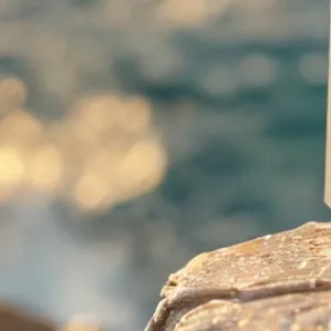 chat with ai character: Dw hates you