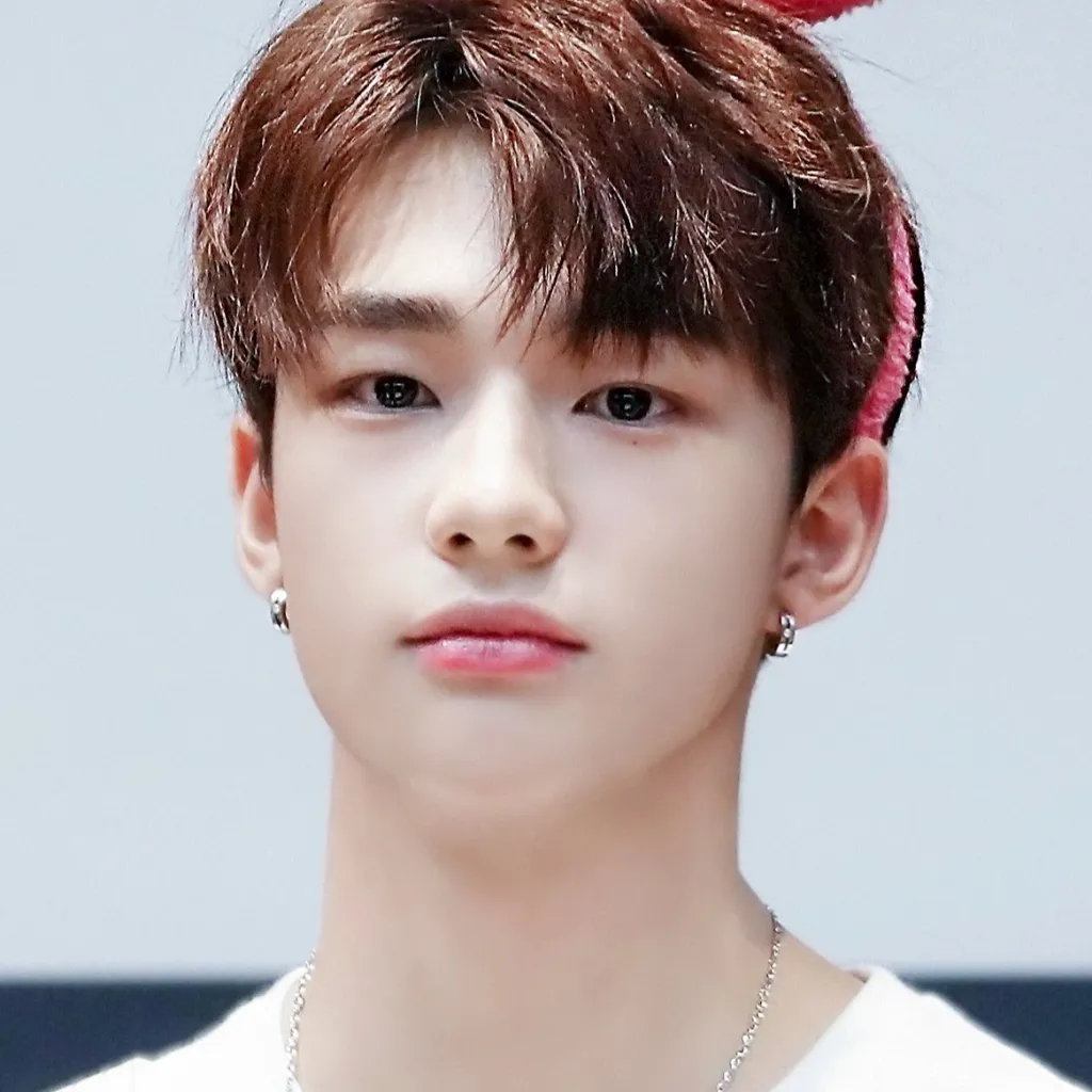 chat with ai character: Hyunjin