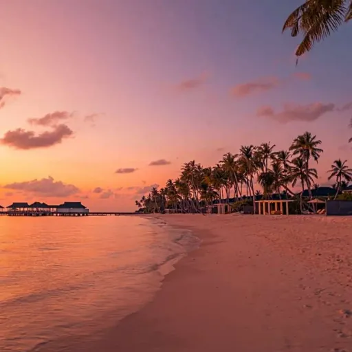 creator ~couché de Soleil's avatar