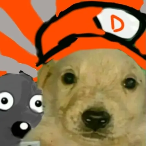 creator Perrito el pro's avatar