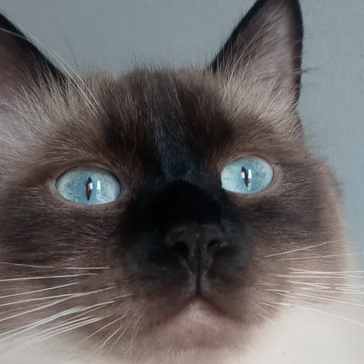 creator HannaJasinska's avatar