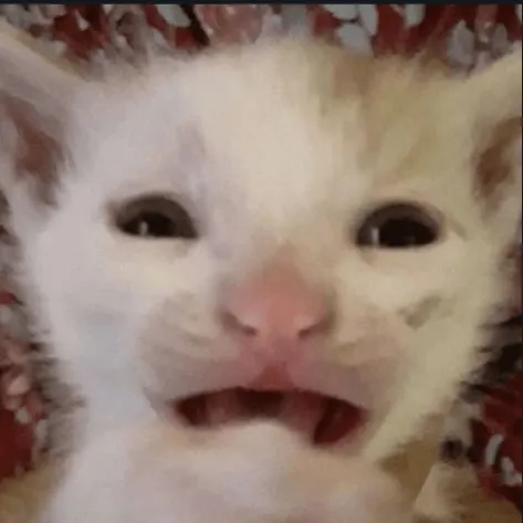 creator Talkior-NqAuZRJw's avatar