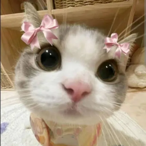 creator lilxa_lilyxsies's avatar