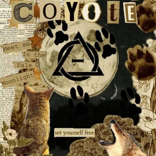 creator ~👘🇯🇵🌸Senpai🌸🇯🇵👘~'s avatar