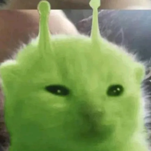 creator ✨alien cat✨'s avatar