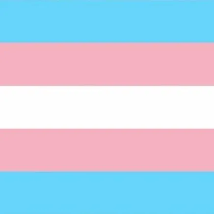 creator TRANSGENDER FLAG's avatar