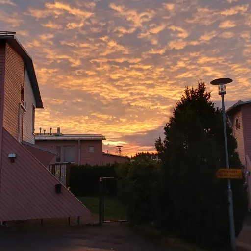 creator ~°Amber°~.'s avatar