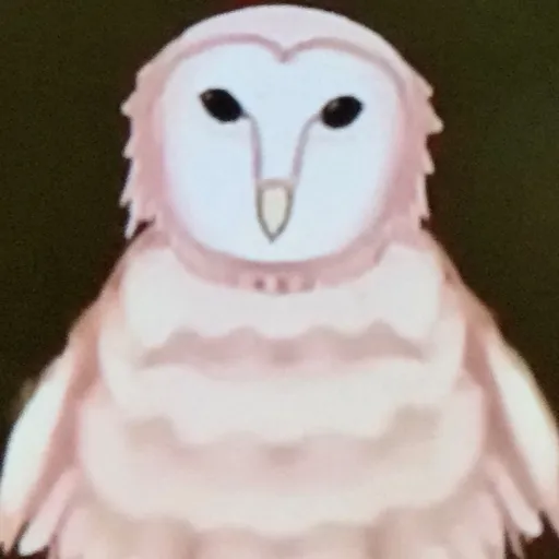 creator Lando Rancout's avatar