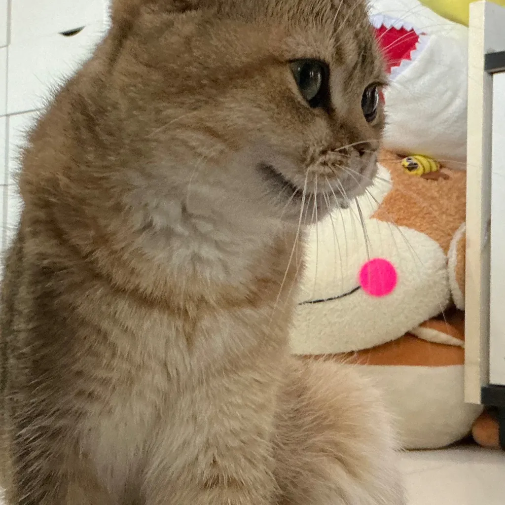 chat with ai character: Panther