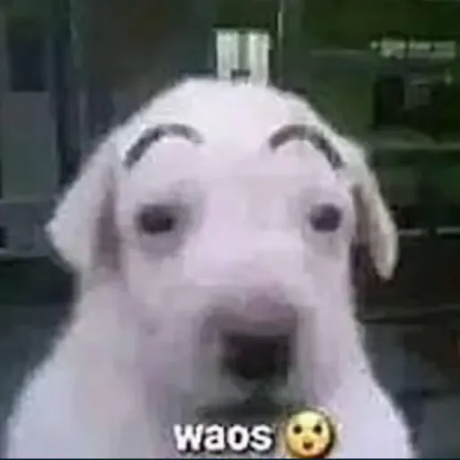 creator Deimos_00012's avatar