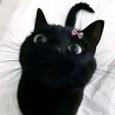 creator lilian 21852's avatar
