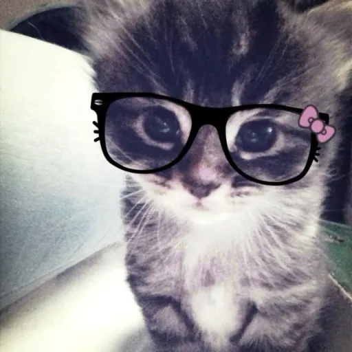 creator Seion Kim's avatar