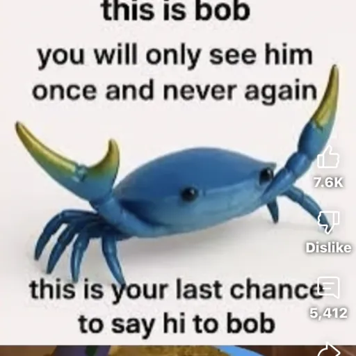 creator Bob The crab's avatar