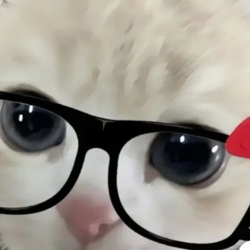 creator ♡_boba_♡'s avatar