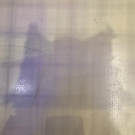 creator Maɏạ øṉ pāwŝ🐾🐈's avatar