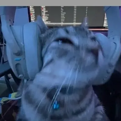 creator ____ 𝓹𝓻𝓲𝓶𝓬𝓮𝓼𝓼_____'s avatar