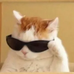 creator Чикабудик's avatar