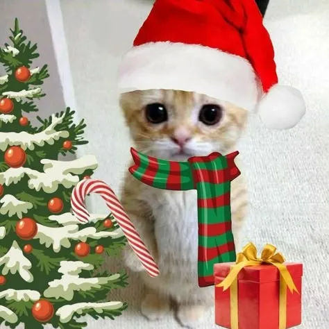 creator ೄྀ༒🖤💜𝐕𝐢𝐨𝐥𝐞𝐭💜🖤ೄྀ༒'s avatar