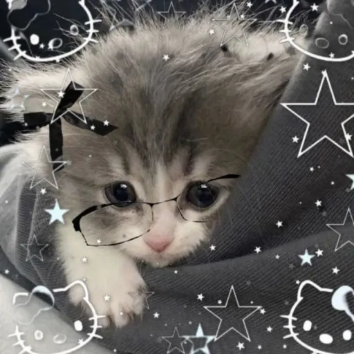 creator Eveliin Leiva's avatar