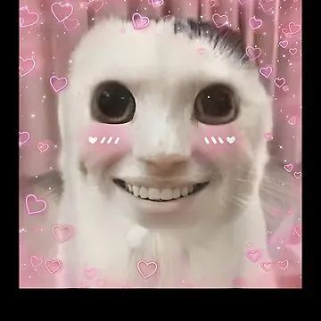 creator {•°I LOVE SKZ°•}'s avatar