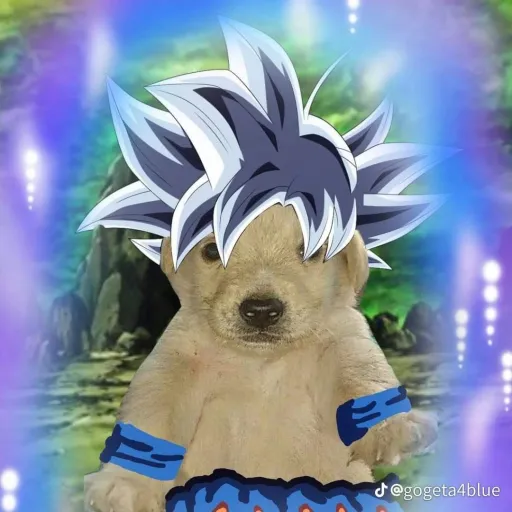 comment user avatar