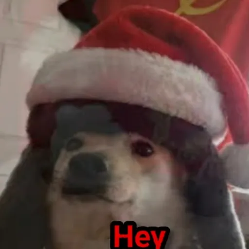 creator Adrian Marginean's avatar