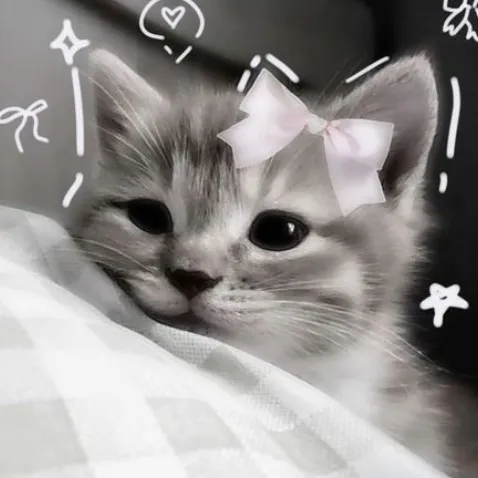creator itz.just.a.cat's avatar