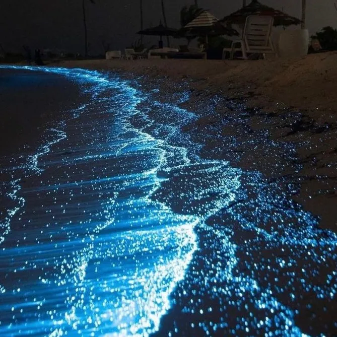 chat with ai character: Age guesser