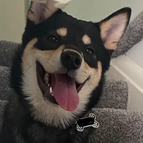 creator ིྀ𝓬𝓸𝓻𝓪 ིྀ's avatar