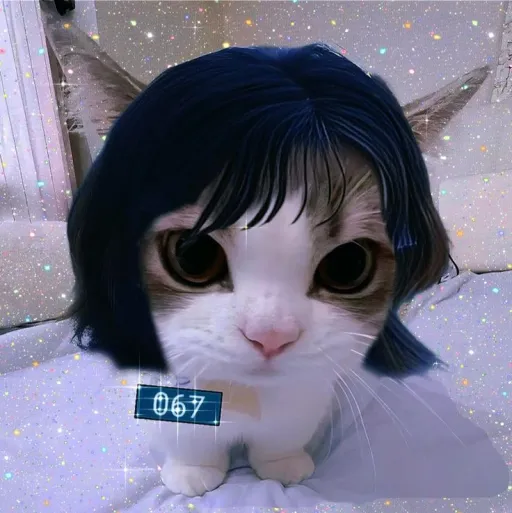 creator ✰𝓒𝓸𝓹𝓲𝓽𝓸 𝓨𝓮𝓼 ✰'s avatar