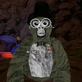 creator Ashes vr's avatar
