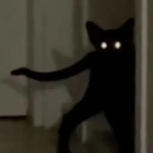 creator ✨Demonic Cat✨'s avatar