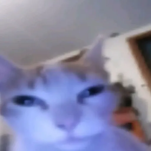 creator yushi c00lkid's avatar