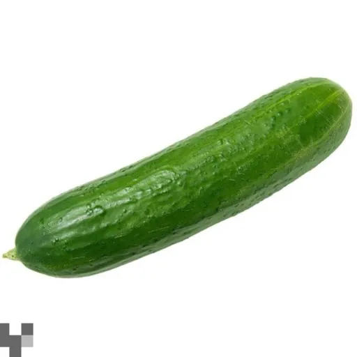 creator Living cucumber's avatar