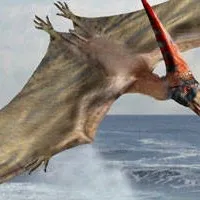 chat with ai character: pterodactyl