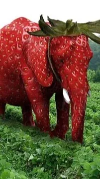ai character: STRAWBERI ELEPHANT background
