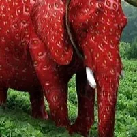 chat with ai character: STRAWBERI ELEPHANT