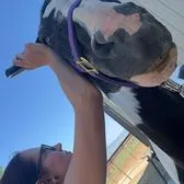 creator kwintsei's avatar