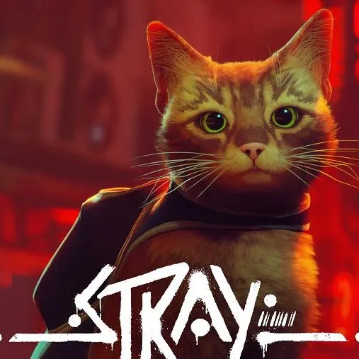 chat with ai character: __.STRAY.__