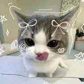 creator Aiiuqo's avatar