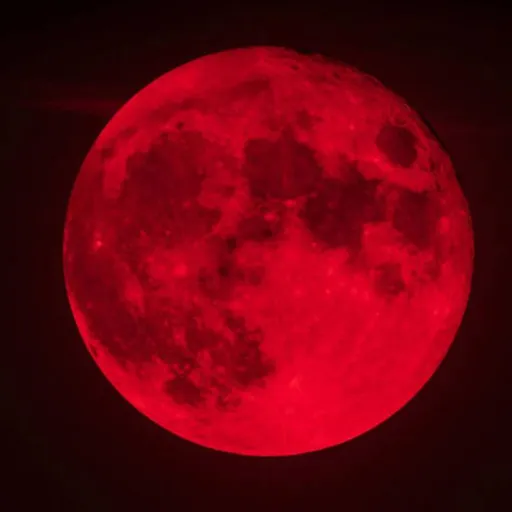 creator the moon creates's avatar