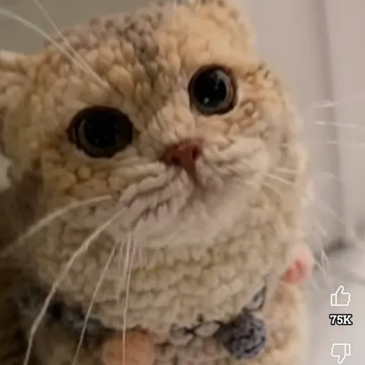 creator cat/Charlotte's avatar