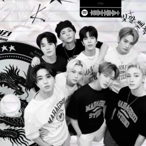 creator Stray kids1234's avatar
