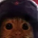 chat with ai character: russian cat